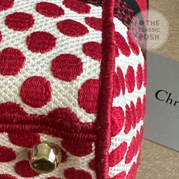 EUC  Rare Christian Dior Lady D Lite Dioramour 2020 Lady Bug Dots Satchel Bag - Picture 13 of 16